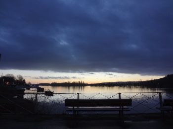 Randonnée A pied Nickenich - Pellenzer Seepfad - Photo