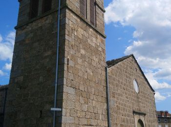 Excursión Senderismo Chenereilles - Chenereilles, le château de Joux  - Photo