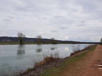 Randonnée Marche Amfreville-sous-les-Monts - 20190319 -poses - Photo