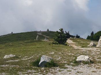 Percorso Marcia Saint-Étienne-les-Orgues - Montagne de Lure, le Cairn 2000. - Photo