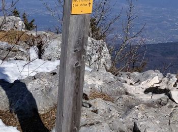 Percorso Racchette da neve Autrans-Méaudre en Vercors - La Quoi 2022 - Photo