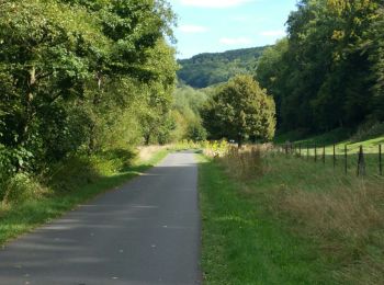 Tour Elektrofahrrad Bettendorf - lux2 - Photo