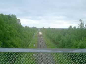 Trail On foot  - Naturum-Andersberg - Photo