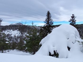 Randonnée Ski de fond Thorame-Haute - ski de fond colle baudet - Photo