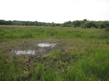 Randonnée A pied Mid Suffolk - Waveney Trail - Photo