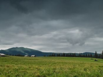 Percorso A piedi  - Popas Zugreni – Vf. Giumalău – gara Valea Putnei (blue dot) - Photo