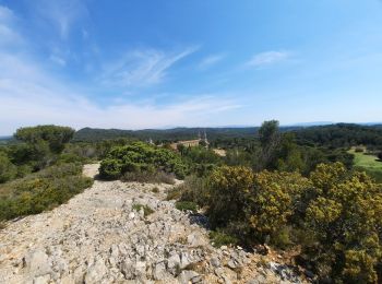 Excursión Senderismo Tarascon - St Michel de Frigolet  - Photo