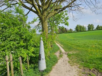 Trail Walking Voeren - Amstel Gold Race 2024 🚲 - Photo