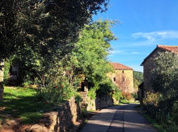 Tour Wandern Faugères - Autour de Faugères  - Photo