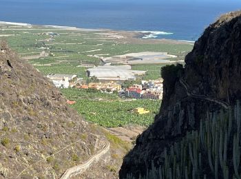 Trail Walking Los Silos - Los Silos Cuevas Negra monte del Agua - Photo