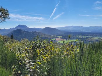 Trail Walking Saint-Ours - jume LaCoquille Louchadiere_T - Photo