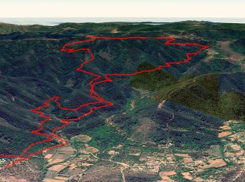 Trail Walking Les Mayons - FFRandonnée-Sur_les_traces_du_decauville - Photo