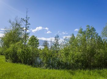 Randonnée A pied Knetzgau - KNE1 - Photo