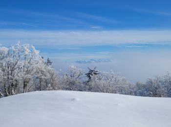 Excursión Raquetas de nieve Haut Valromey - raquettes la chapelle de retort croix de montlery - Photo