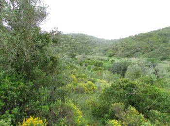 Trail On foot Querença, Tôr e Benafim - Fonte Benémola - Photo