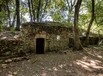 Randonnée Marche Saint-Cyr-au-Mont-d'Or - Le mont Thou et le chemin des Cabornes - Photo