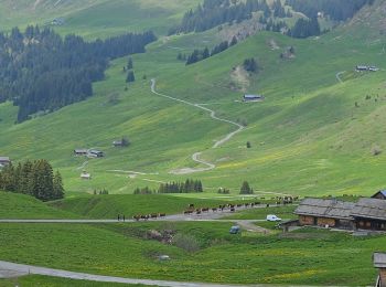 Percorso Marcia Le Reposoir - Col des Annes du Reposoir - Photo