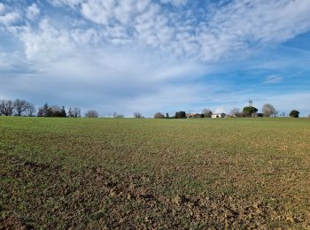 Randonnée Marche Monferran-Savès - ses les terres de Monferran Saves et plus - Photo