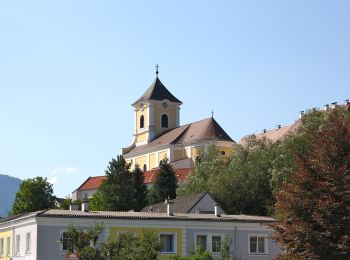 Tocht Te voet Gemeinde Kirchberg am Wechsel - Kirchberg a.W. - Karlhöhe - Photo