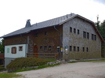 Tour Zu Fuß Gemeinde Puchberg am Schneeberg - Puchberg (Siemingstraße) - Öhler Schutzhaus - Photo