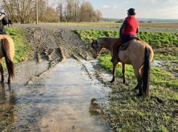 Trail Horseback riding Reherrey - Mardi 27 février 24 Tivio reherey  - Photo