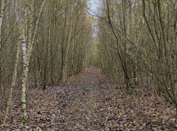 Randonnée Marche Grâce-Hollogne - Randonnée à Bierset  - Photo