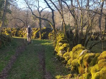 Randonnée Marche Reilhac - Autour de Reilhac - Photo