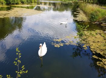 Tocht Stappen Seneffe - arquennes0720.  - Photo