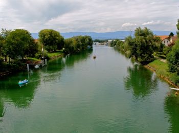 Randonnée A pied Morat - Murten Schiffstation – Sugiez gare - Photo