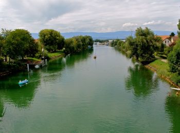 Trail On foot Murten - Murten Schiffstation – Sugiez gare - Photo