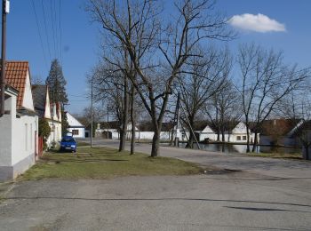 Percorso A piedi Ševětín - [M] Ševětín - Velechvín - Photo