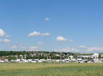 Percorso A piedi Gemeinde Mistelbach - tutgut-Wanderweg Route 3 - Photo