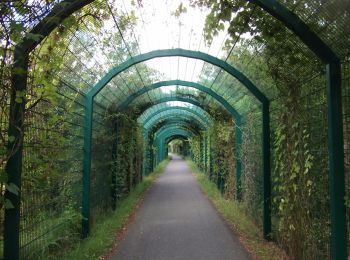 Percorso A piedi Kasendorf - Rundweg Roter Ring Thurnau - Photo