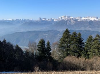 Tour Wandern La Motte-Saint-Martin - Sinnepi - Photo