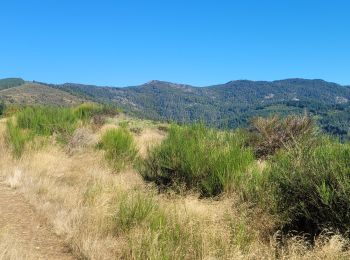 Tocht Stappen Alzon - mont guiral - Photo