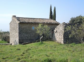 Trail Walking Gordes - PF-Gordes - La Sénancole - Photo