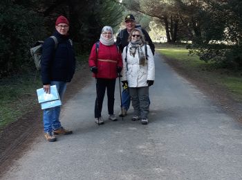 Excursión Senderismo La Flotte - la flotte - Photo