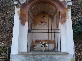 Tocht Te voet Trontano - A18 - Quarata di Cosa - bivio A20 sopra Alpe Prou Menga - Photo
