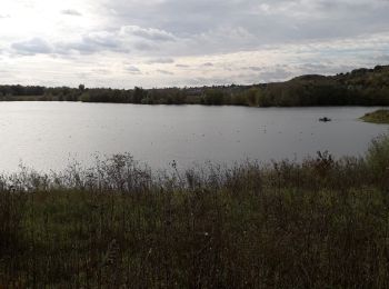 Randonnée Marche Sotteville-sous-le-Val - Sotteville-sous-le-Val vers Freneuse 11 km - Photo