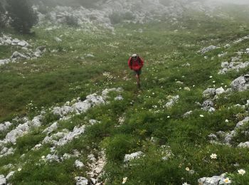 Trail Walking La Chapelle-en-Vercors - Balcons Est des Hauts Plateaux - Photo