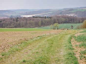 Randonnée A pied Widdern - Olnhausen-Widdern - Photo