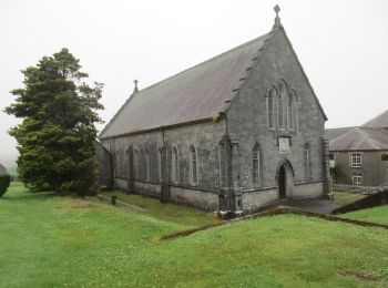 Percorso A piedi The Municipal District of Dungarvan — Lismore - Glenshelane Red Walk - Photo