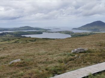 Tocht Stappen Conamara Municipal District - Mon parcours - Photo