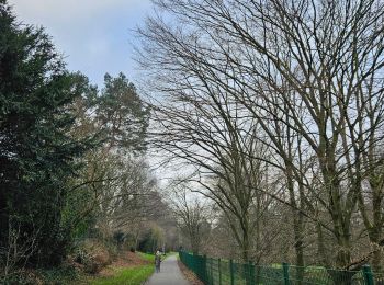 Tocht Stappen Aken - Aix-la-Chapelle  🎅🎄 & 🛍 - Photo