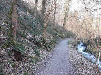 Randonnée Marche Hamoir - HAMOIR (Vallée du Neblon) - Photo