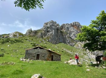 Randonnée Marche Cangas de Onís - Covadonga  - Photo