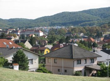 Randonnée A pied Hainburg an der Donau - Rund um den Braunsberg - Photo