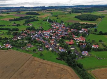 Trail On foot Birstein - Rombachs Weg - Photo