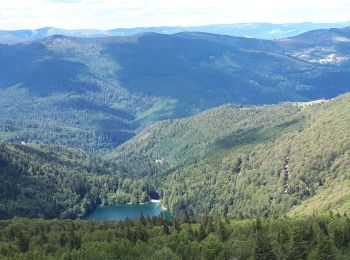 Randonnée Marche Soultz-Haut-Rhin - Le Grand Ballon - Photo