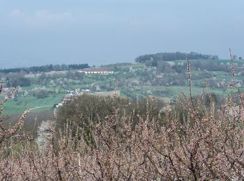 Randonnée A pied Scharten - Kronbergrundweg - Photo